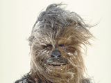 Chewbacca from Star Wars