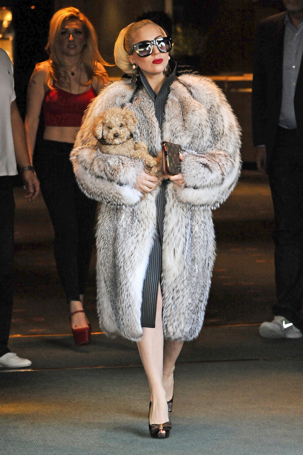 Lady GaGa