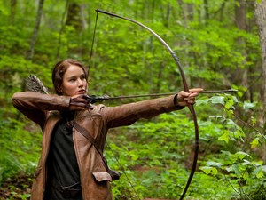 the hunger games