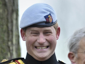 Prince Harry struggles with his klaxon horn at the Wootten Bassett Field of Remembrance at Lydiard Park, Swindon.
Wiltshire, England