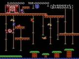 'Donkey Kong Jr.' screenshot