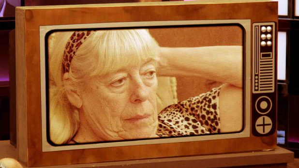 Celebrity Big Brother 2012: Day 20