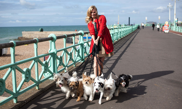 Jodie Kidd takes to Brighton Pier to announce Brighton as Britain's Most Dog Friendly Place
