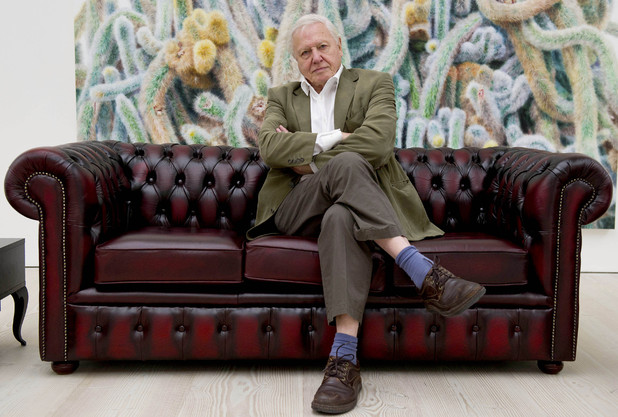 Sir David Attenborough at a UKTV autumn/winter press launch at the Saatchi Gallery, September 11 2012