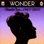 Naughty Boy ft. Emeli Sandé 'Wonder' single artwork.