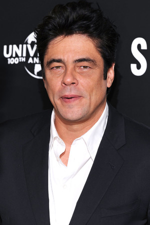 Benicio Del Toro, Savages