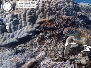 Coral reefs shown through google maps street view