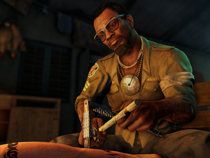 'Far Cry 3' screenshot