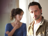 The Walking Dead: Lori Grimes (Sarah Wayne Callies)