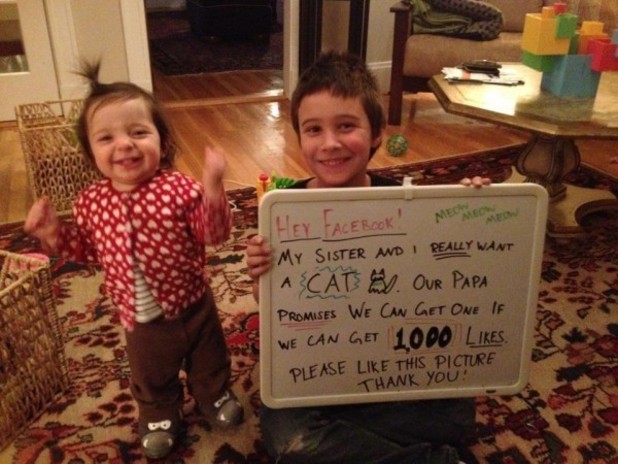 Kids use Facebook to plea for a cat from their father