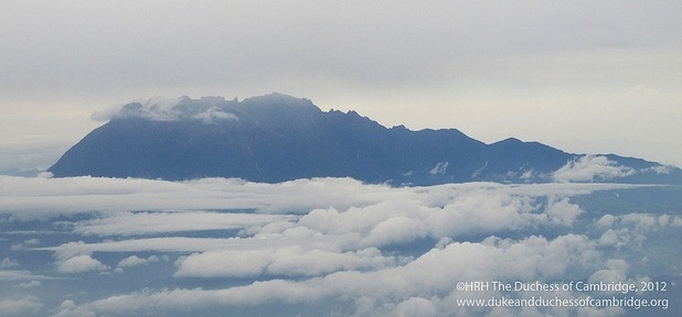 Photo taken by Kate Middleton on a trip to Borneo.