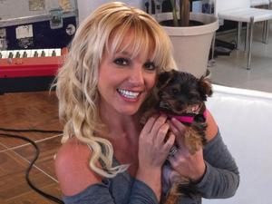 Britney Spears with her puppy 'Hannah'