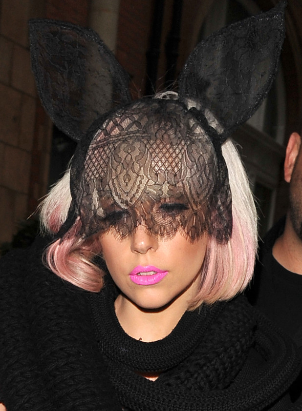 lady gaga bunny