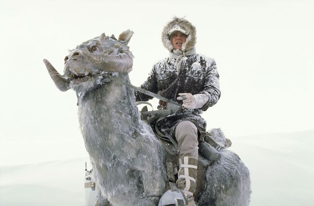 20 best snow movies
