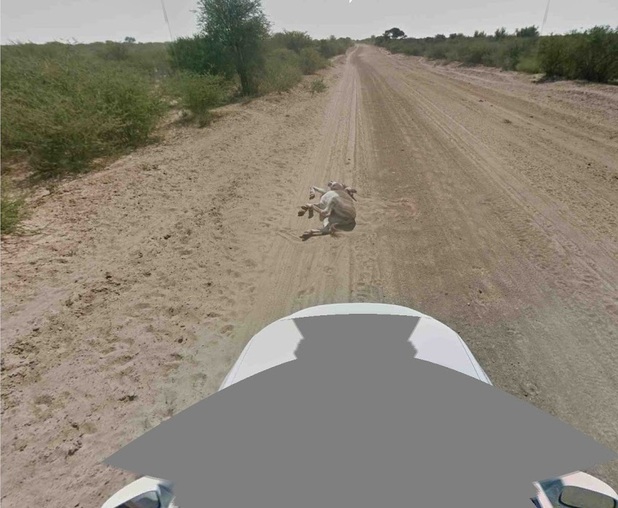 Google Maps/donkey