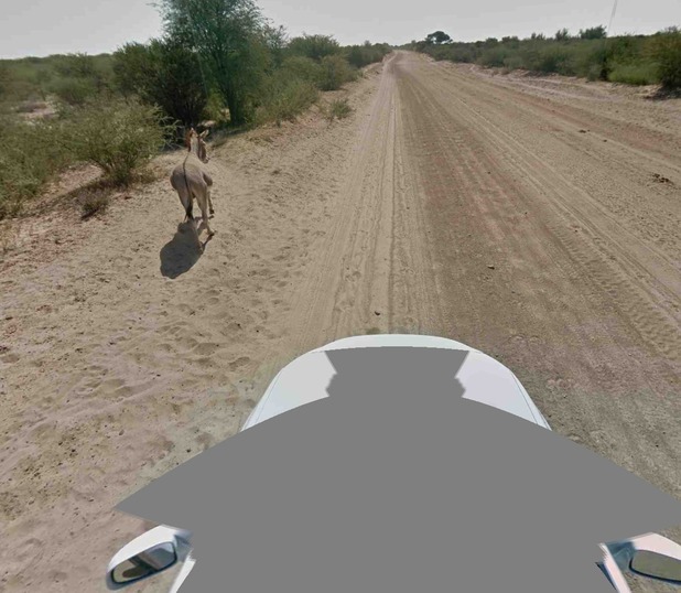 Google Maps/donkey