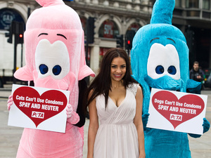 Lacey Banghard, PETA campaign for the sterilisation of cats and dogs