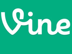 Vine logo