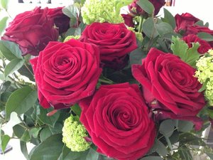 Christine Bleakley roses