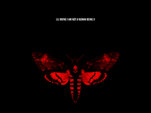 Lil Wayne 'I Am Not A Human Being II' artwork