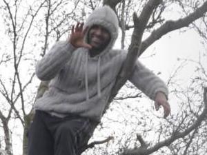 Man protests from up a tree in Leigh