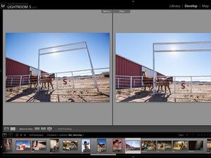 Adobe Lightroom screenshot