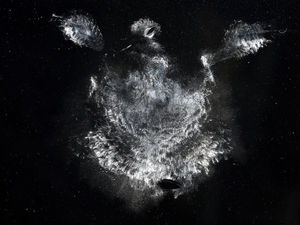 A view of a kitchen window at the house of Stuart Milligan in Dunblane, after a pigeon crashed into it, leaving a grease imprint clearly showing the outline of its head, body and wings