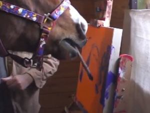 Metro the painting horse