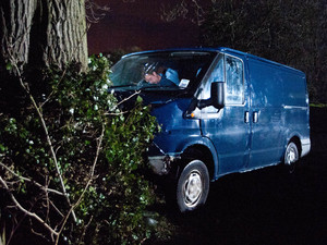 Cameron crashes his van