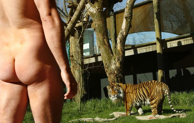 naked zookeeper, Grant Kother from ZSL London Zoo's reptile house going naked to encourage people to sign up to Streak for Tigers to raise money for Sumatran tigers