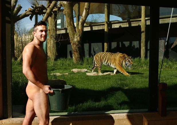 naked-zookeeper-tiger.jpg