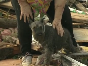 Oklahoma tornado survivor finds her dog