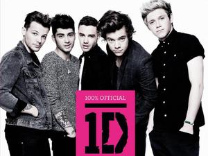 One Direction - '100% Official 1D' book