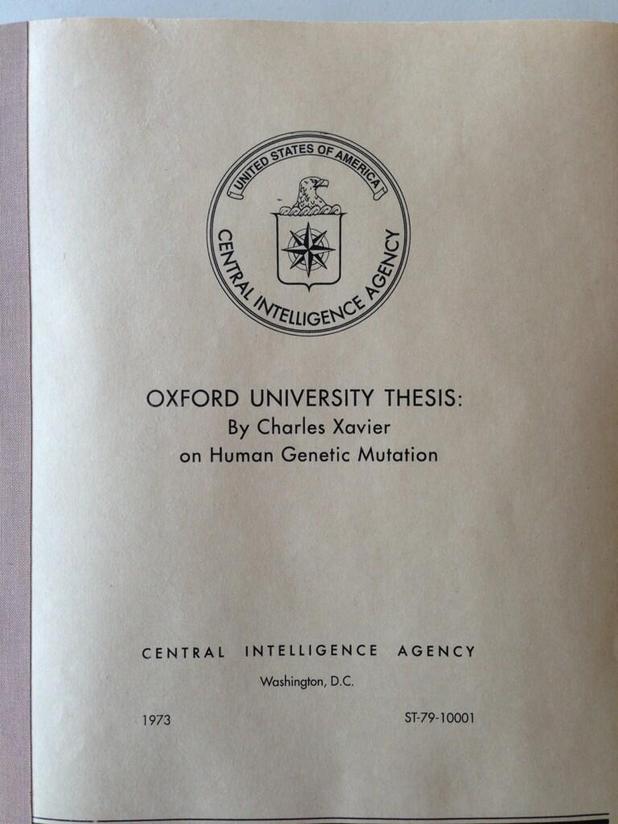 Xavier conglomerate essay 03 image