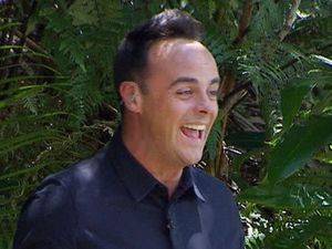 Ant and Dec in I'm A Celebrity