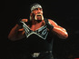 Hulk Hogan won't be appearing in WWE 2K16