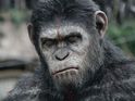 The performance-capture king on bringing back Caesar for this summer's sequel.