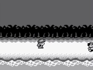 The Legend of Zelda: Links Awakening screenshot