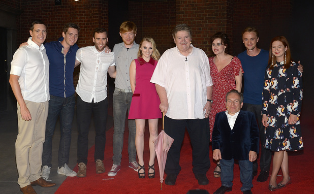 Oliver Phelps, James Phelps, Matthew Lewis, Domhnall Gleeson, Evanna Lynch, Robbie Coltrane, Helena Bonham Carter, Warwick Davis, Tom Felton and Bonnie Wright attend The Wizarding World of Harry Potter Diagon Alley Grand Opening at Universal Orlando