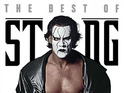 Sting is getting ever-closer to a WWE in-ring appearance.
