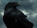 The HBO series is set to return in the US on April 12 and on April 13 in the UK.
