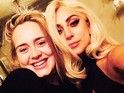 'Applause' singer sparks speculation that she is working with the British star.