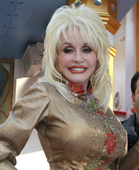 w550_wigs_dolly_parton.jpg (550×672) | Hair | Pinterest