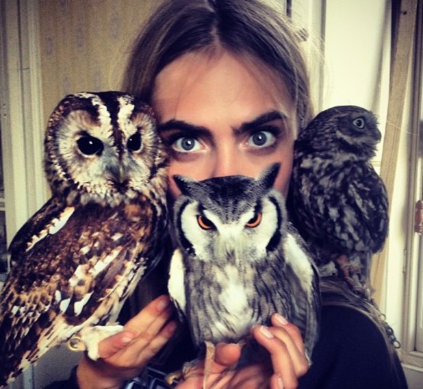 Cara Delevingne gets pooed on by bird, Instagrams it - Showbiz News ...